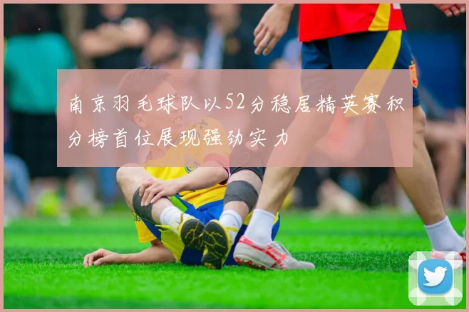 南京羽毛球队以52分稳居精英赛积分榜首位展现强劲实力
