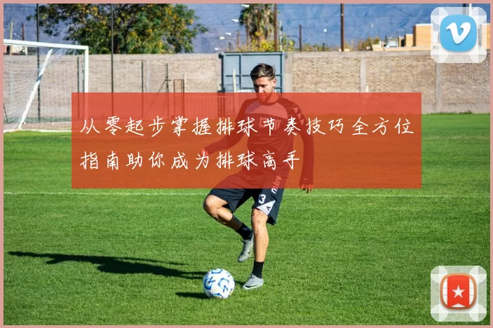 从零起步掌握排球节奏技巧全方位指南助你成为排球高手