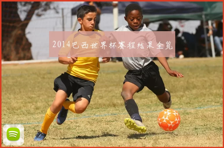 2014巴西世界杯赛程结果全览