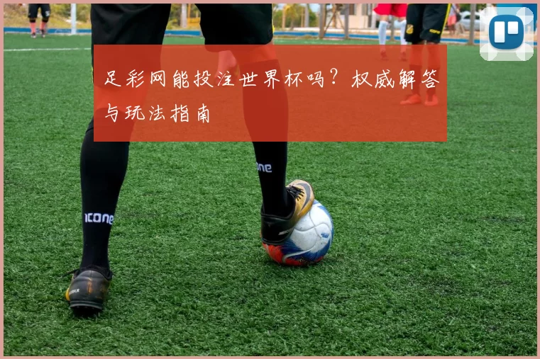 足彩网能投注世界杯吗?权威解答与玩法指南