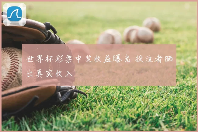 世界杯彩票中奖收益曝光 投注者晒出真实收入