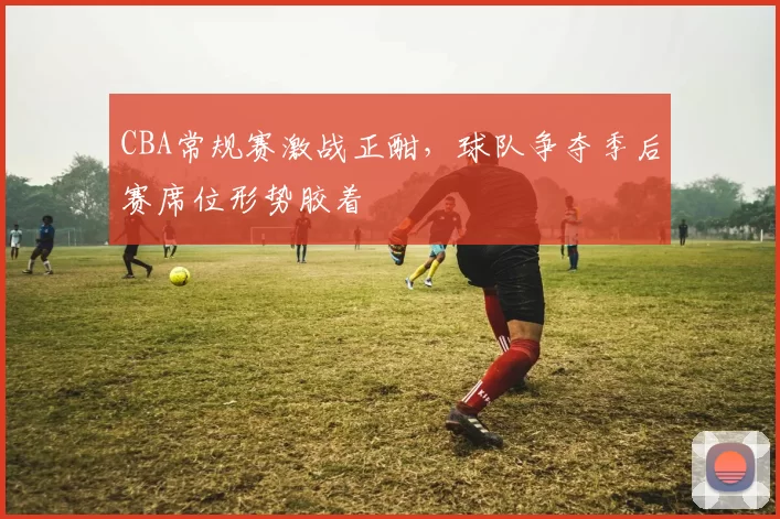 CBA常规赛激战正酣，球队争夺季后赛席位形势胶着