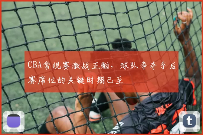 CBA常规赛激战正酣,球队争夺季后赛席位的关键时期已至