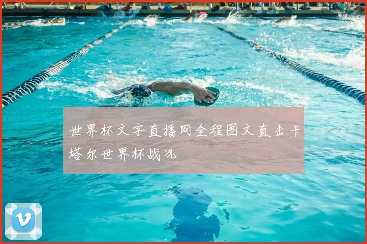 世界杯文字直播网全程图文直击卡塔尔世界杯战况